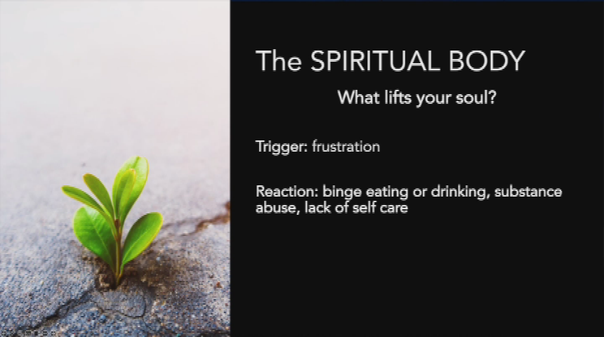 Thumbnail image for Functional Nutrition and Wellness - Episode 2